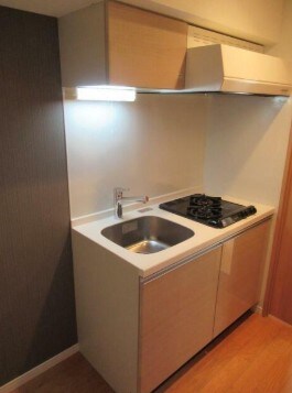 物件内観写真4　(2口コンロ。)