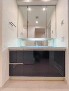 物件内観写真8　(嬉しい独立洗面台付き。)