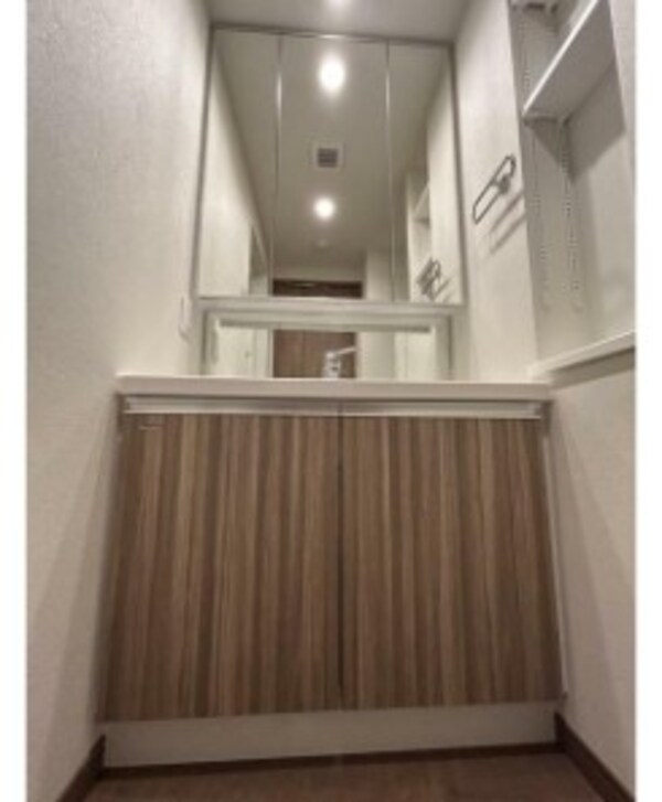 独立洗面台(嬉しい独立洗面台付き。)