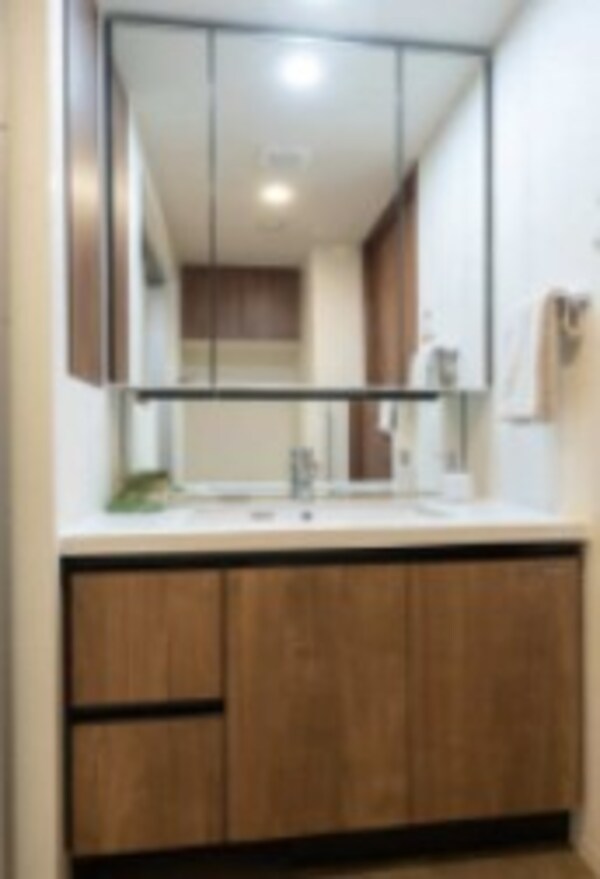 独立洗面台(嬉しい独立洗面台付き。)