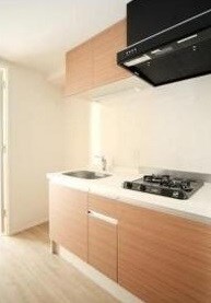 物件内観写真4　(2口コンロのシステムキッチン。)