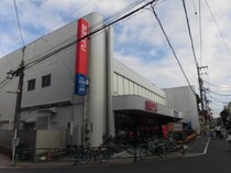西武新宿線 下井草駅 2階建 新築の外観写真