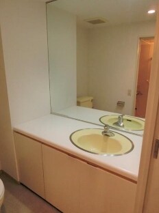 物件内観写真6　(嬉しい独立洗面台付き。)