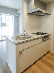 物件内観写真4　(グリル付き3口コンロシステムキッチン。)