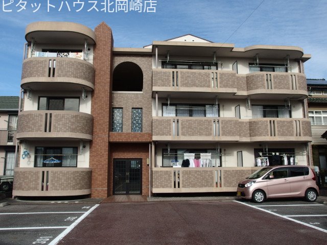 ドミールＴＦ