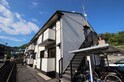 カモマイル