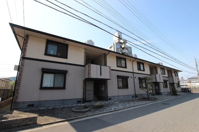 ハイカムール宮本