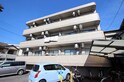 ブリリアント草本