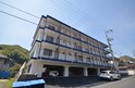 Forest Hills 田方