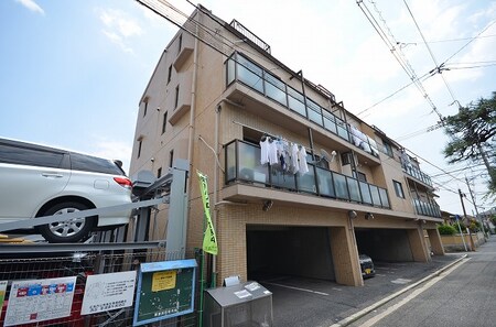 ロイヤルヨシソウ外観写真