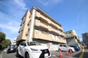 メゾン猫本