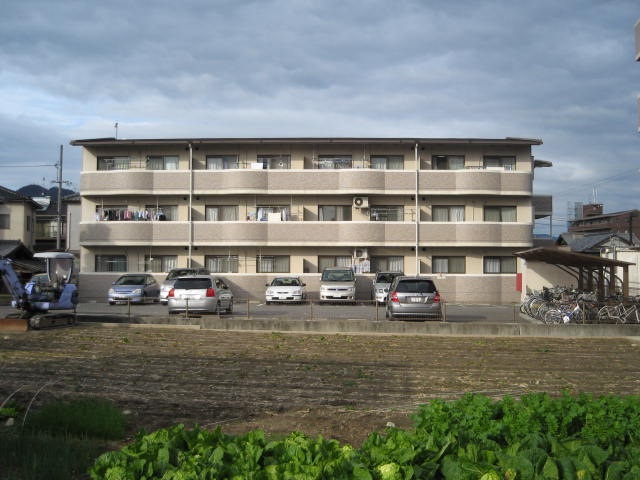 エントピア藤井