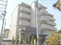 モンティセリ
