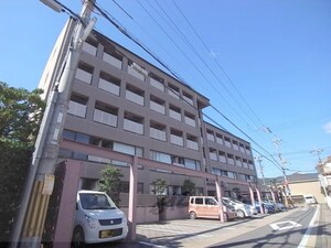 メゾン音羽*外観写真
