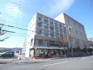 ハイツクローバー*外観写真