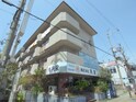 グリーンハイツ*
