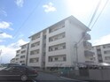 南円明寺ヶ丘団地8棟101号室