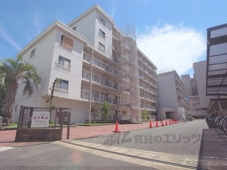 高野川ハイツ517号室*外観写真