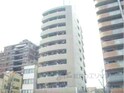 岡本ＢＬＤＧ