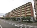リサービア大津311