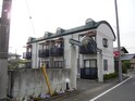 ラッキーピュア