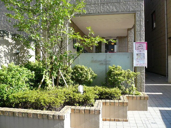 植栽(植栽の映えるエントランスです♪)