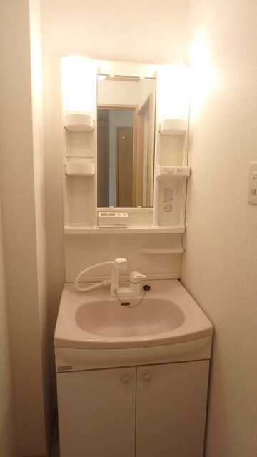 物件内観写真10　(忙しい朝に嬉しい洗髪洗面化粧台)