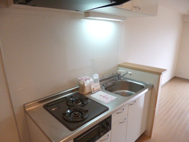 物件内観写真10　(2口ガスシステムキッチン)