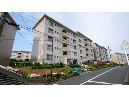 宮向団地1-3外観写真