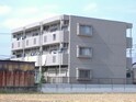 ユーミークオリス