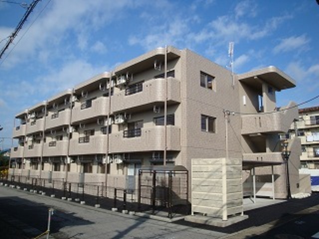Ｙ＆Ｍスター