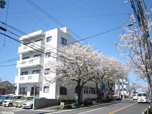 紫桜ハイツ外観写真