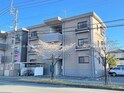 シャトー光の森Ｂ