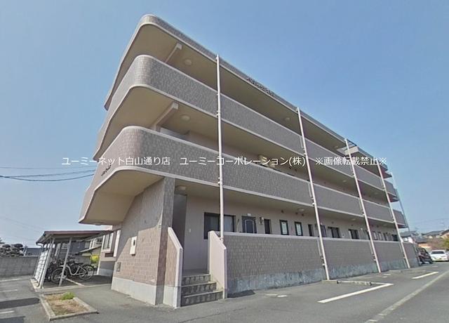 ベネッセ米野
