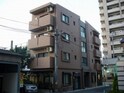Ｔ．Ｍｃｏｒｔ白陽