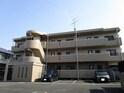 アイリステラモトＩ