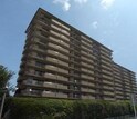 多摩川ハイム