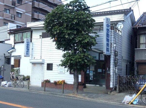 周辺環境(中埜動物病院 558m)