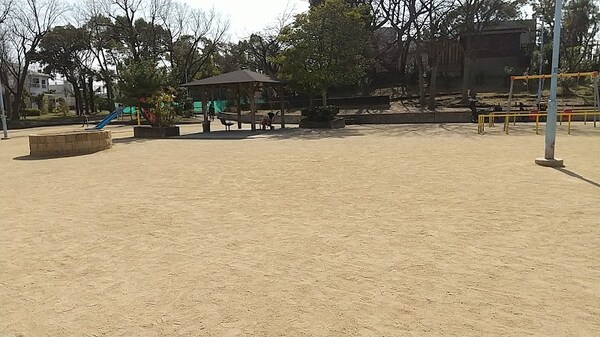周辺環境(聖天山公園 991m)