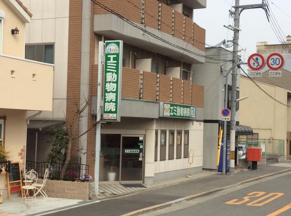 周辺環境(エミ動物病院 598m)