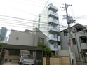 チコアドニス