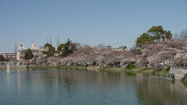 周辺環境(万代池公園 1029m)