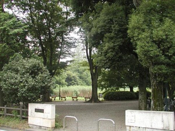 周辺環境(善福寺公園 1724m)