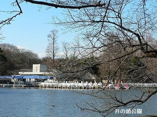 周辺環境(井の頭公園 1925m)