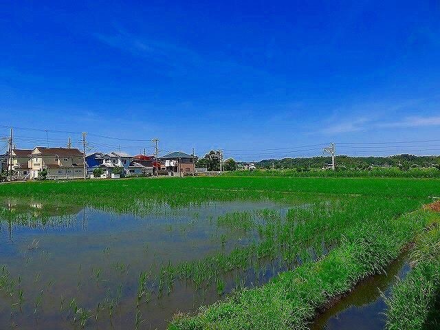 台方戸建の物件外観写真