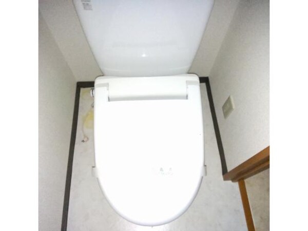 トイレ(同型別室の写真です)