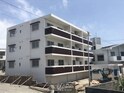 Ｃａｓａ　Ｌｕｐｉｎｕｓ（ｶｰｻﾙﾋﾟﾅｽ