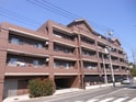 ＲＡＦＦＩＮＥ　ＶＩＳＴＡ