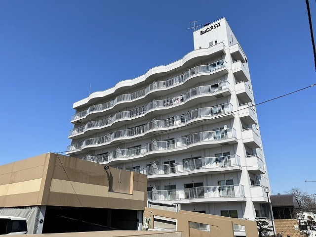 シュロス５．２