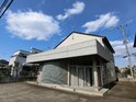 チェリーブロッサム